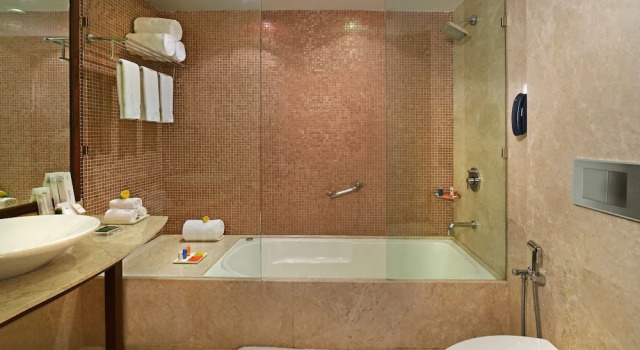 Номер Deluxe с балконом Radisson Hotel Khajuraho