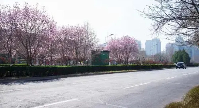 Henan Luoyang·Luoyang City Sports Center· Locals Apartment 00143000, Rezervovat Apartmán Luo Long 