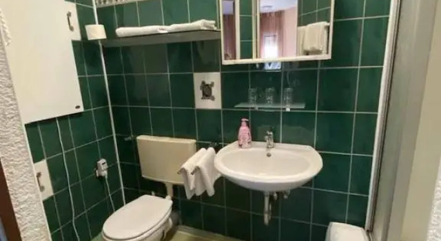 Трёхместный номер Standard Hotel-Gasthof "Alter Ritter"
