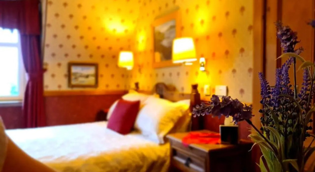 Номер Standard Bluebell House