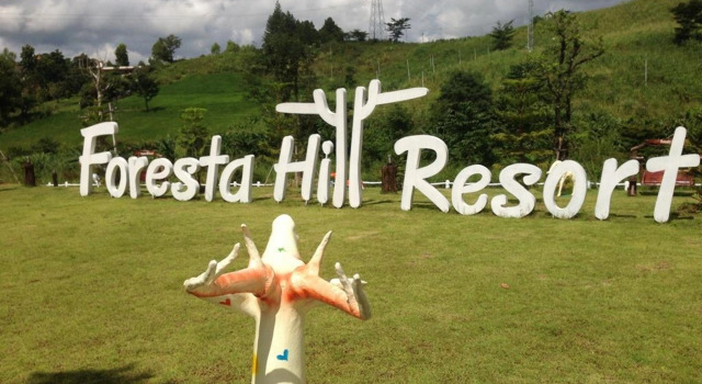 Номер Superior Foresta Hill Resort