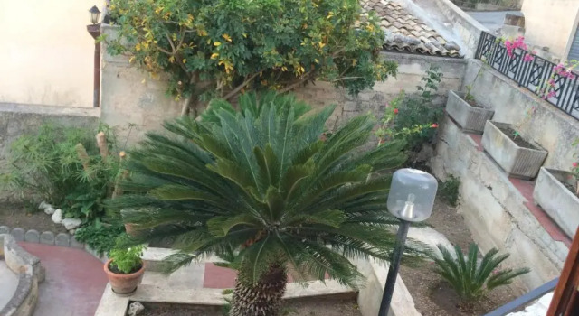 Двухместный номер Standard B&B La Terrazza DellItria