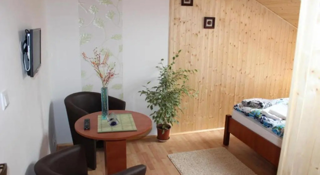 Номер Standard Studio Glass Vysočina