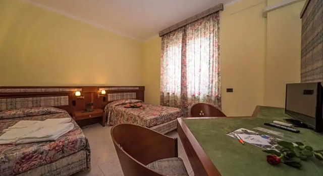 Двухместный номер Classic New Petit Hotel