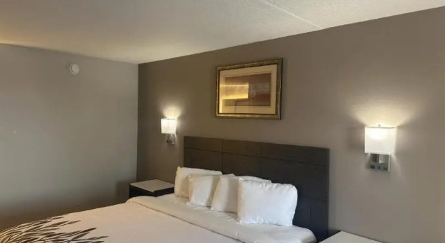 Номер Deluxe Quality Inn Media