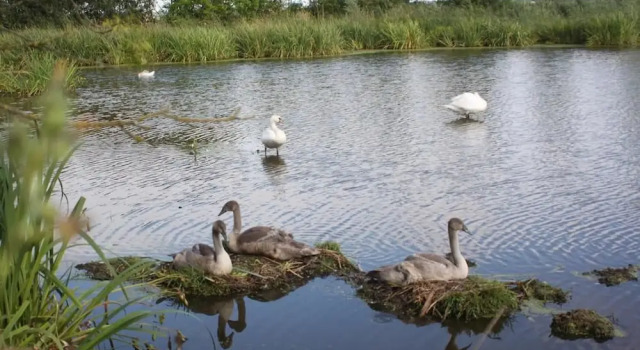 Le Clos du Marais, Rezervasyon Otel Curzon otoparklı oteller, Otopark