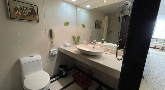 Двухместный номер Standard Canton Hotel Guangzhou, Tapestry Collection by Hilton