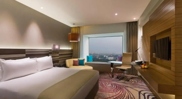 Двухместный номер Standard с видом на город Holiday Inn Jaipur City Centre by IHG