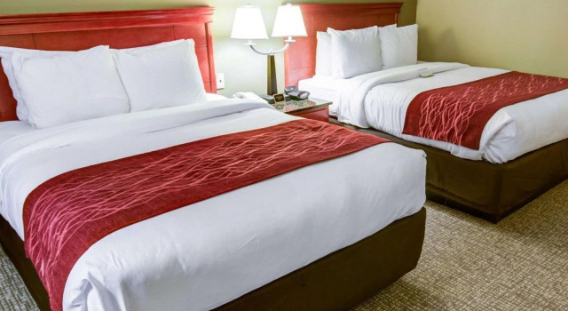 Четырёхместный номер Standard Holiday Inn Express Greencastle by IHG