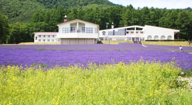 Кровать в общем номере Highland Furano