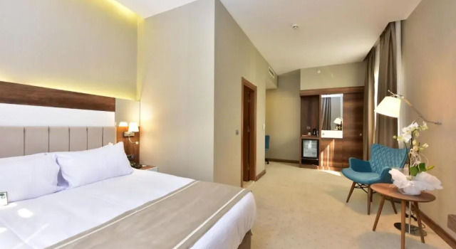 Двухместный номер Deluxe Vespia Hotel