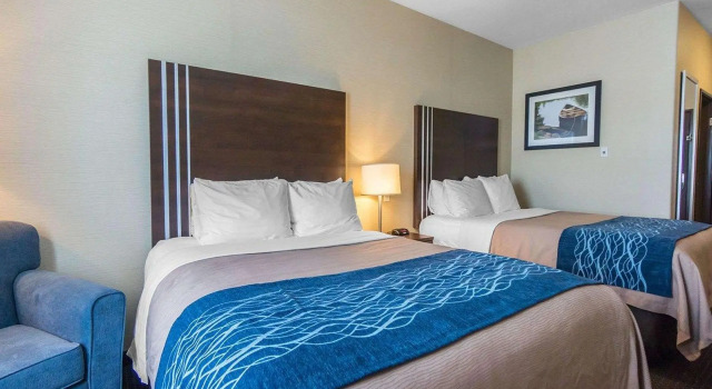 Четырёхместный номер Standard Comfort Inn & Suites