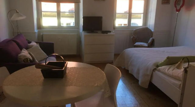 Zum Grünen Lindenbaum Z5B, Réserver Appartement Constance Bade-Wurtemberg