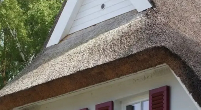 Holiday Home Reet am Dunenwald 25