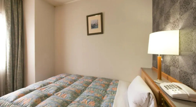 Одноместный номер Economy Matsusaka City Hotel