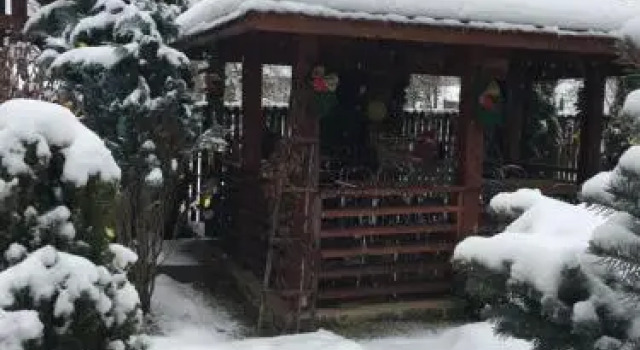 Ileana House, Rezerwuj Hotel Hotele w Carpathians - Romania z parkingiem, Parking