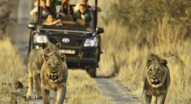 Двухместный люкс Morokolo Safari Lodge Self-catering