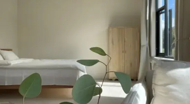 Двухместный люкс с видом на горы Xiaoyan Yueling Hillside Homestay