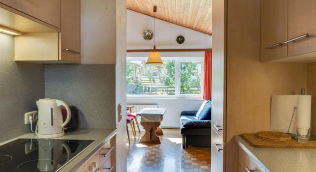 Spacious Chalet in Maishofen near Forest