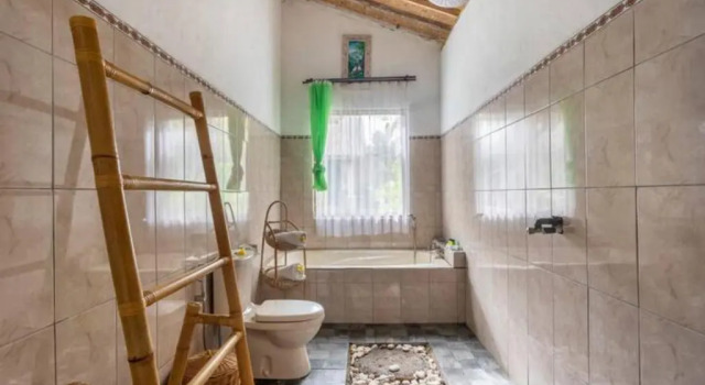 Номер Deluxe Ananda JJ Ubud Resort & Spa