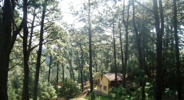 Cabañas El Pinar, Book Hotel SPA-hoteller i Mazamitla, SPA