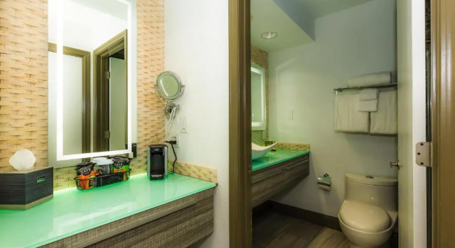Номер Standard с балконом Regalia Hotel & Conference Center