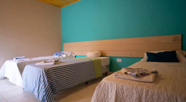 Ara Suite
