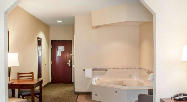 Двухместный люкс Comfort Inn & Suites Hamburg - Buffalo South