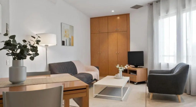 Студия Superior Fisa Rentals Gran Via Apartments