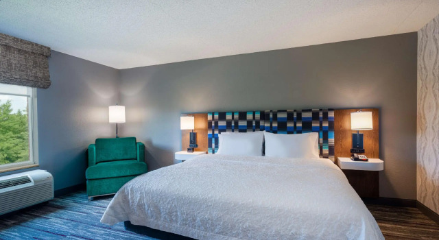 Двухместный номер Standard Hampton Inn & Suites Herndon-Reston