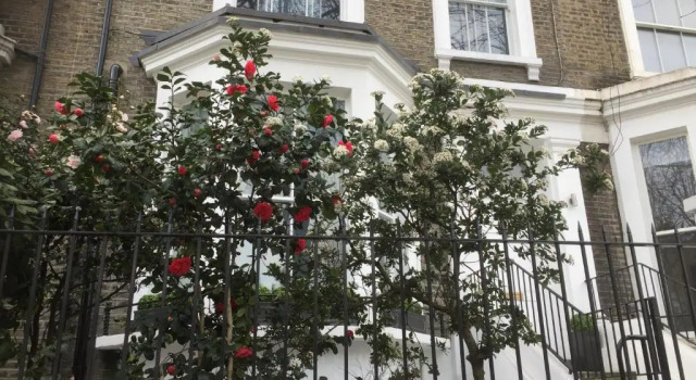 Luxurious Apartment in Kensington & Chelsea
