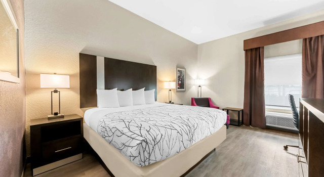 Двухместный номер Standard Best Western Boerne Inn & Suites