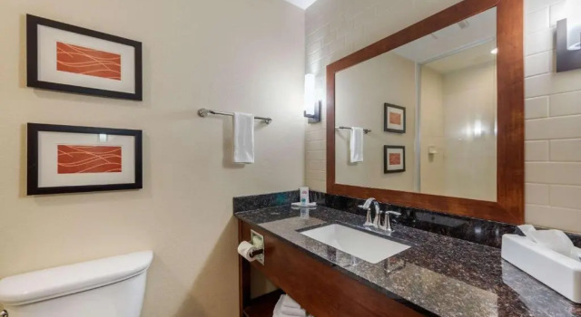 Люкс Comfort Inn & Suites Alamosa