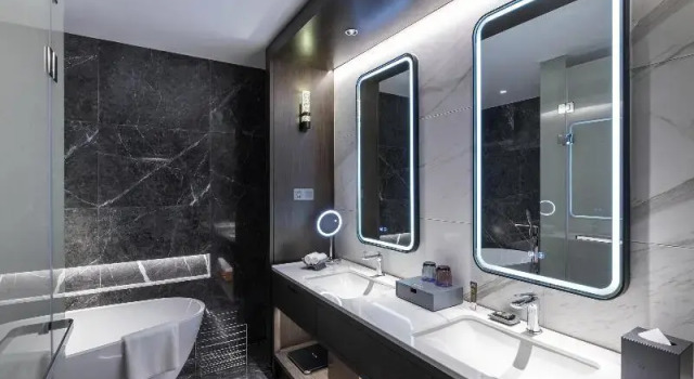 Люкс Novotel Xian Xixian西安西咸诺富特酒店