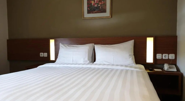 Двухместный номер Superior BIZ HOTEL City Center