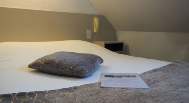 Номер Economy Logis Hôtel Vannes Nord Le Clos Des Hortensias