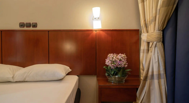 Двухместный номер Economy Pines Hotel