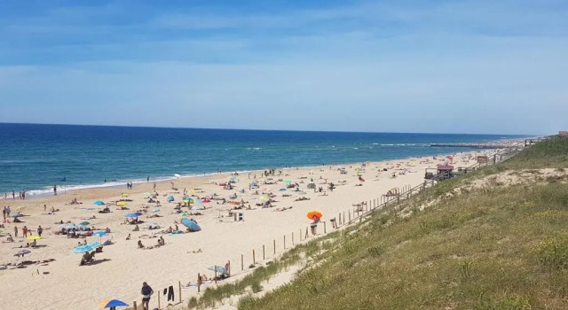 Апартаменты La Pinède Océane,400m des plages