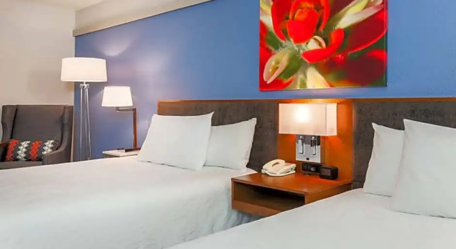 Четырёхместный номер Mobility/Hearing Accessible Hilton Garden Inn Dallas/Market Center