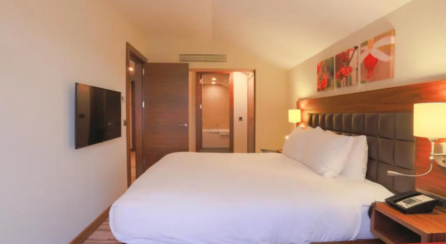 Двухместный люкс c 1 комнатой Hilton Garden Inn Eskisehir