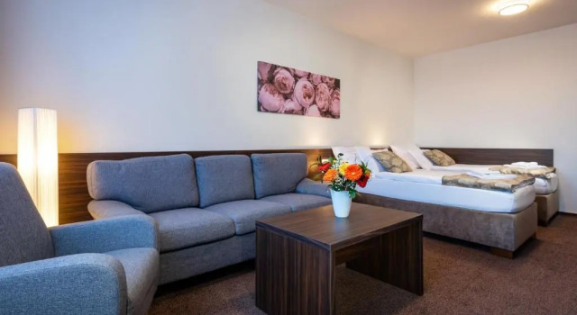Семейный номер Standard с балконом Hotel SATEL