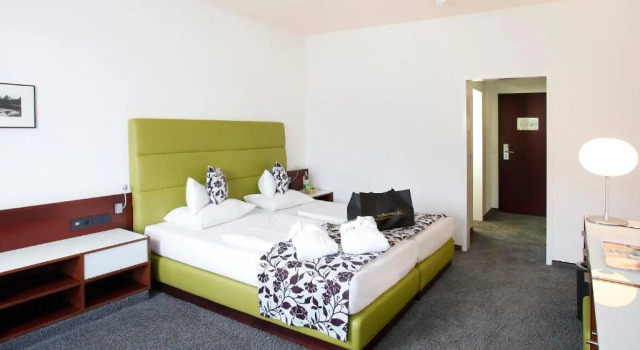 Одноместный номер Comfort Hotel an der Therme