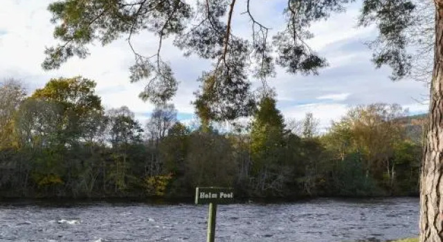The Willows, Varaa Huoneisto Inverness 