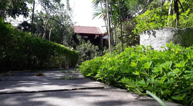 Семейный номер Standard с видом на сад An Phu Homestay