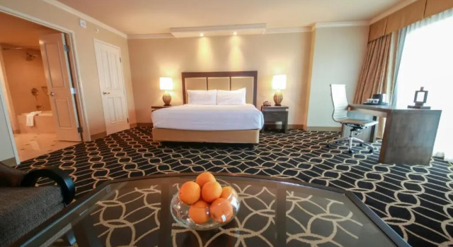 Полулюкс Hollywood Casino & Hotel St. Louis