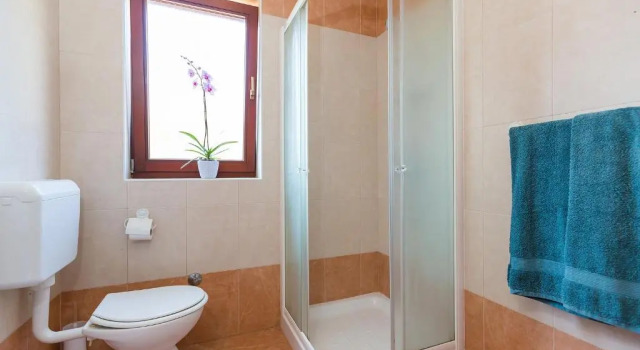 Апартаменты c 1 комнатой Apartments Radojka