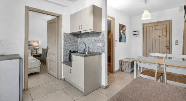 Полулюкс с балконом Erato Hotel