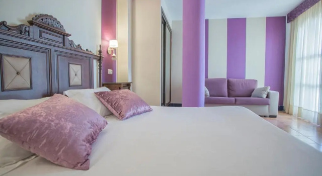 Двухместный номер Standard Hotel Rosaleda Don Pedro