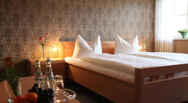 Двухместный номер Standard Hotel Gerwing-Wulf