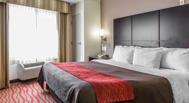 Двухместный номер Standard Comfort Inn Los Angeles near Hollywood